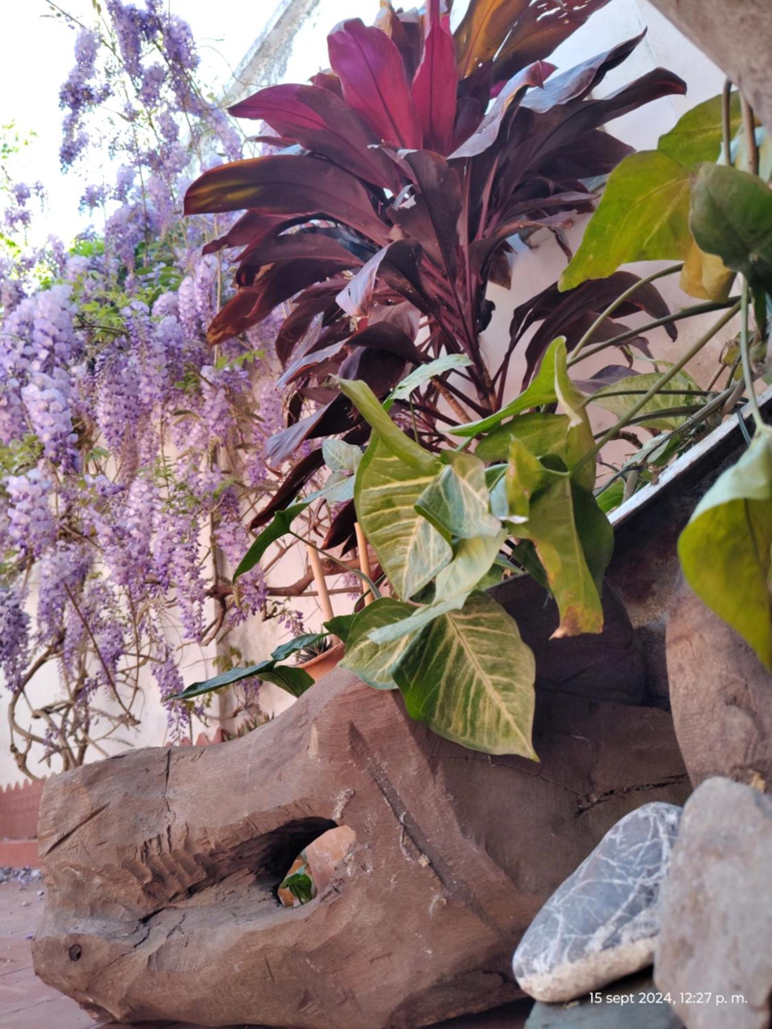 Casa Kuyay Vila San Salvador de Jujuy Exterior foto