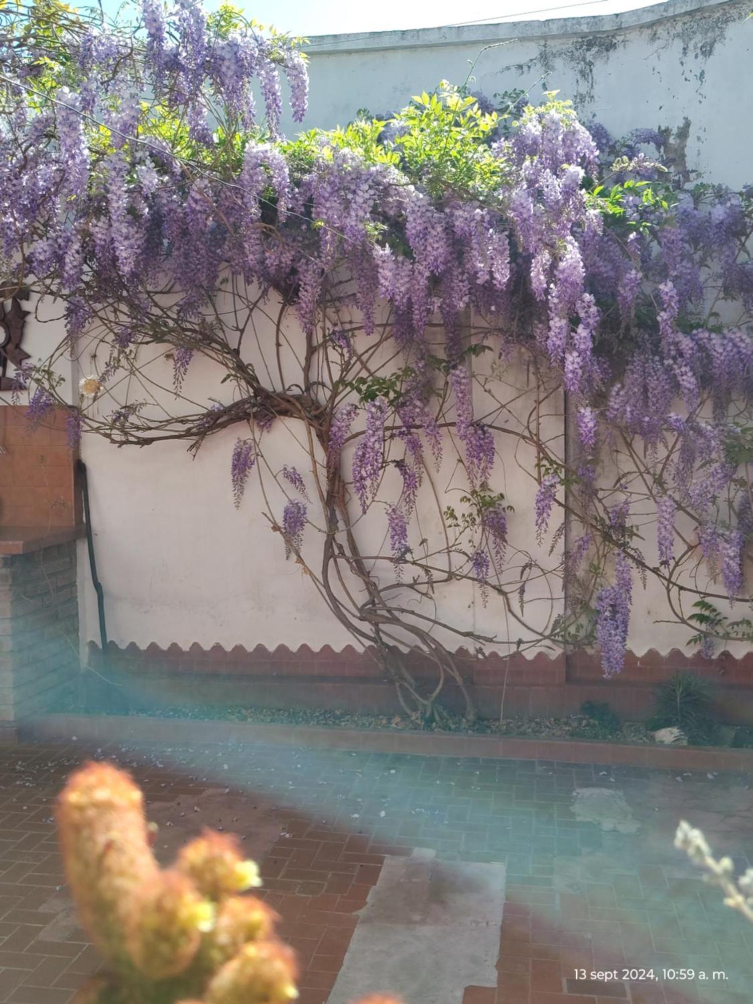 Casa Kuyay Vila San Salvador de Jujuy Exterior foto